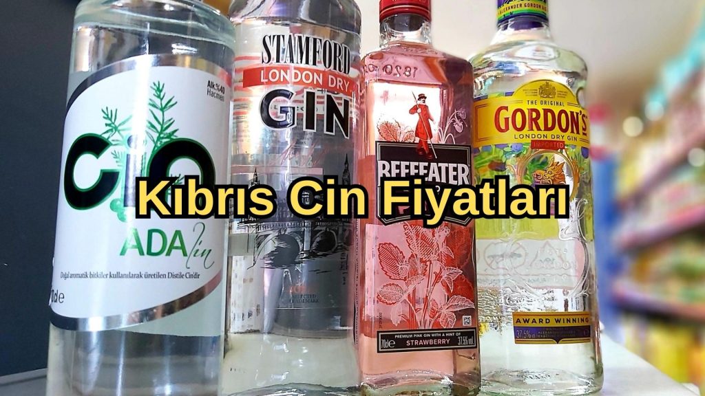 Kıbrıs Cin Fiyatları