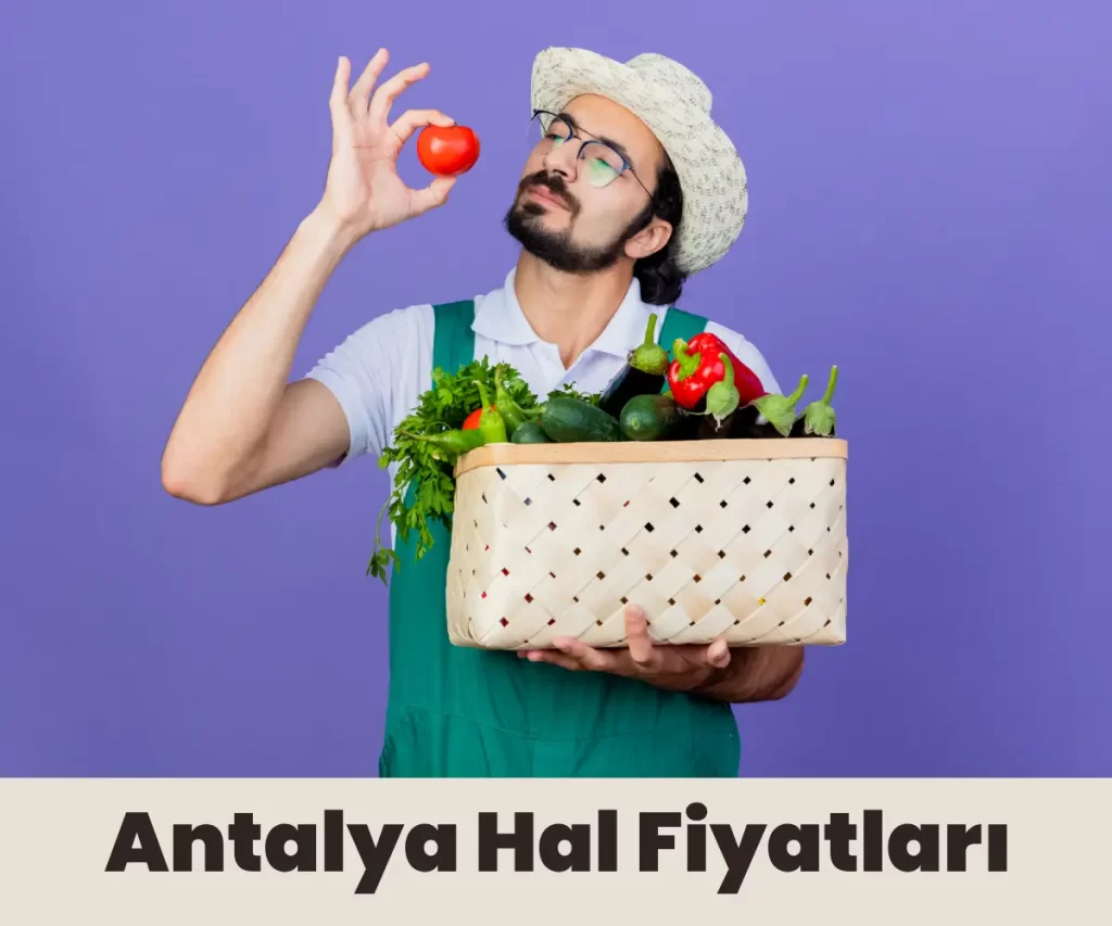 Antalya Hal Fiyatları