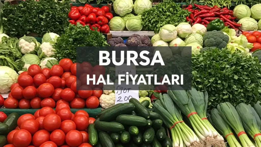 Günlük Bursa Hali Sebze Fiyatları 2025